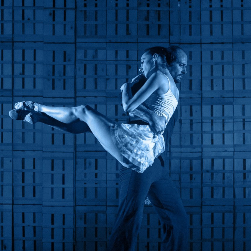 COMPAÑÍA NS DANZA