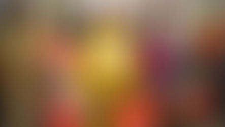 Indian Post celebrates birthday of Meghashrey founder Seema Singh