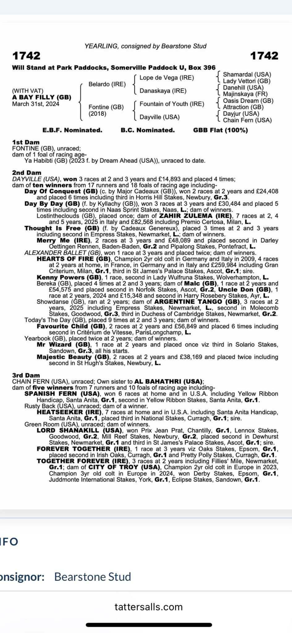 Thumbnail: Unnamed Belardo Filly