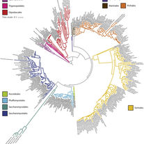 Wolters et al 2023