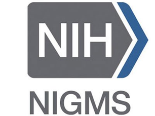 Dr. LaBella awarded NIH Grant