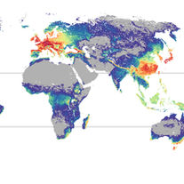 David et al 2024