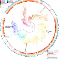 Harrison et al 2024