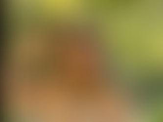 A lâmpada está acesa ou apagada?