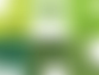 Você têm atitudes de um consumidor consciente?