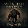 Schatten in der Nacht T 2.jpg
