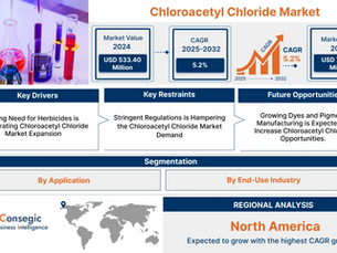 Chloroacetyl Chloride Market Strategic Insights for Industrial Automation Businesses Size, Share, Growth Analysis