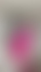 The ultimate female fashion outfit - the jumpsuit