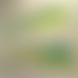 December 29th 2025 | DAF