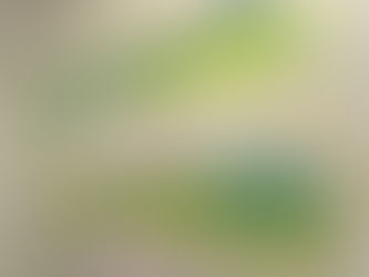 December 29th 2025 | DAF