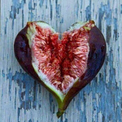 14580481_10210351953573119_1179730532_n