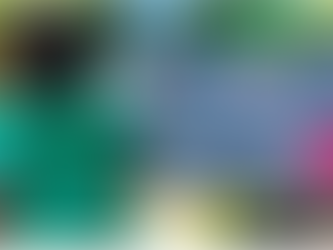 Dia Mundial do Meio Ambiente - o que temos a comemorar?!