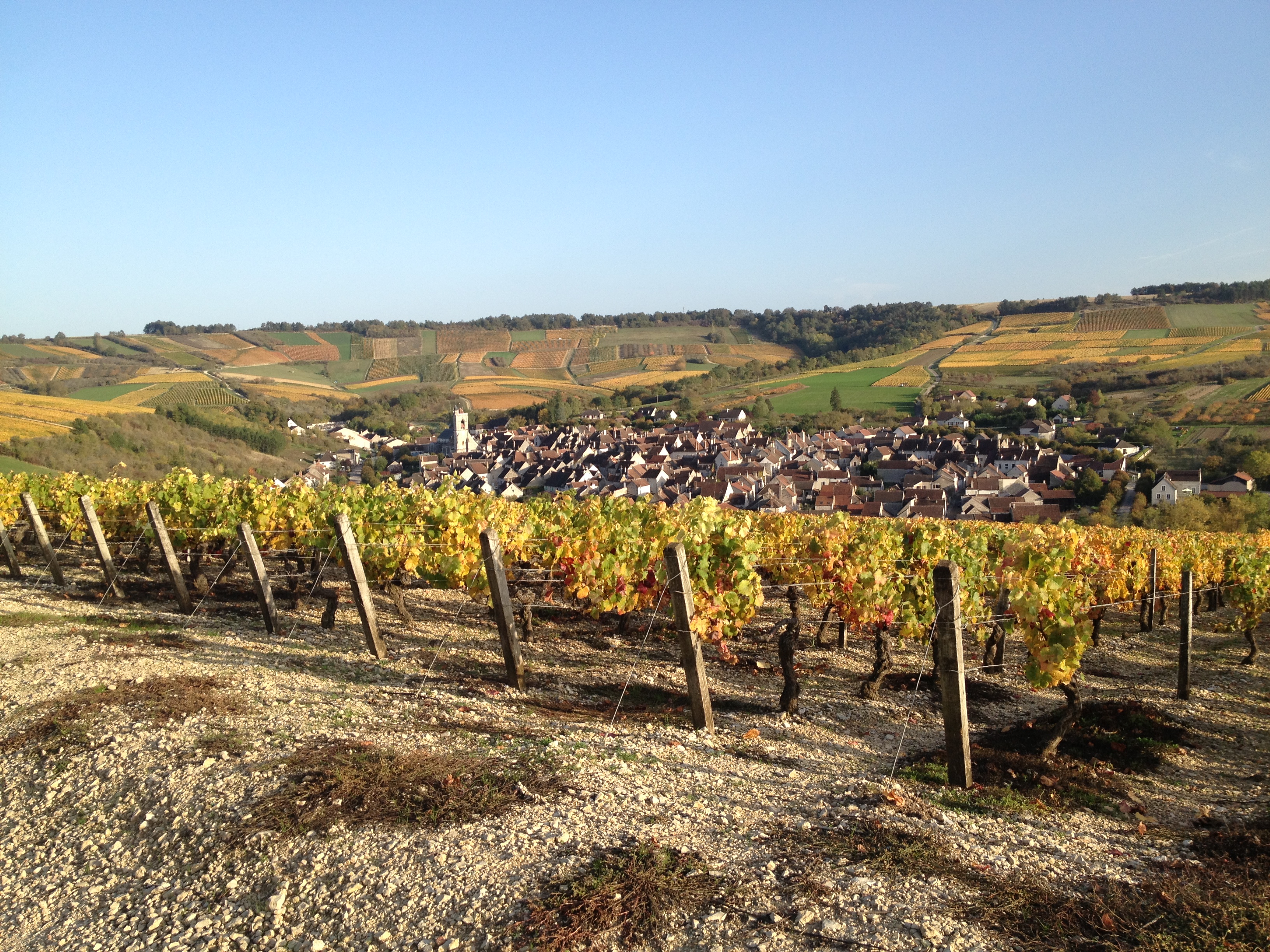 Irancy et ses vignobles