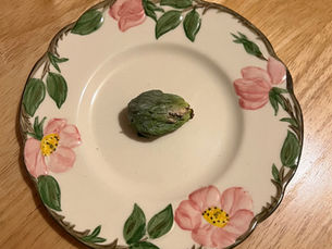 Alan And The Brussels Sprout