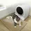 Thumbnail: Waterproof Double-Layer Cat Litter Mat, Non-Slip Washable Pet Toilet Mat