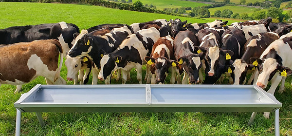 8ft-single-trough-1.jpg