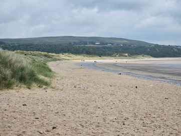 Year 7 and 8 Pillars Class Beach Clean at Oxwich Bay