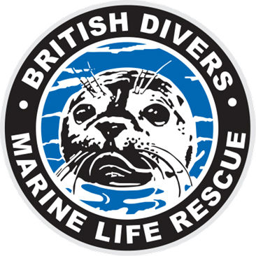 BDMLR presentation from Ollie Lewis.