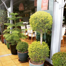 mersin marina midpoint (6)