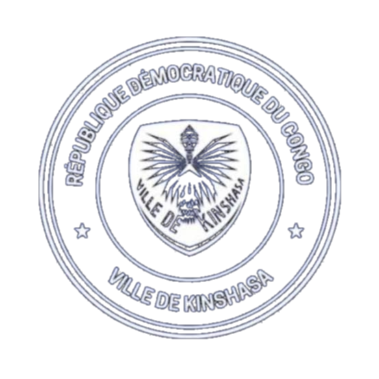 LOGO DE LA VILLE_edited.png