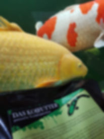 Koifutter günstig online bestellen. Für gutes Wachstum deiner Koi. Für hohe Vitalität deiner Koi. Das Koifutter aus dem YouTube Koi Blog TeichundGarten4you. Das Koifutter GRÜN. Das Koifutter BLAU. Das Koifutter SINK.