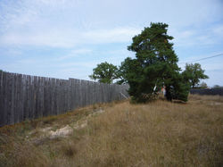 P1160768