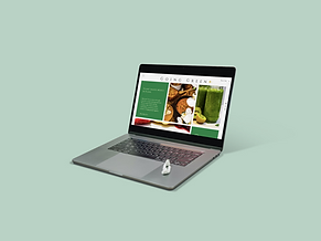 mockup laptop gg .png
