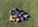 Overhead of a group of people laying together on grass.