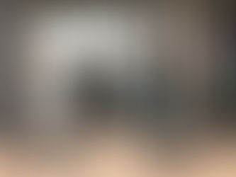 【ラスト１台】★フリースタイルBMX★ジャンルに迷ったらこのモデルをチョイス！！BMXデビューへの１台。