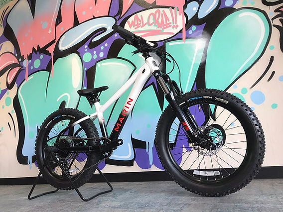 子供用自転車20インチ マウンテン【引き取り限定】 【引取限定】愛知