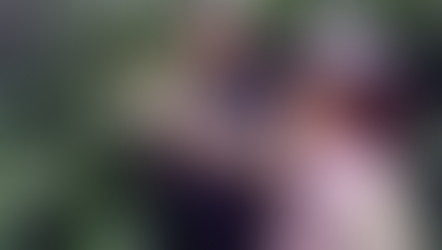 สวนกาแฟปางมะผ้า ( Pang Ma Pha Coffee farm )