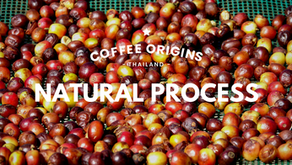 Processing coffee - natural process