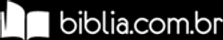 biclia online.png