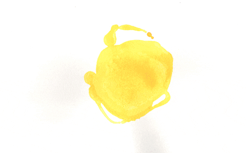 giphy (15).gif