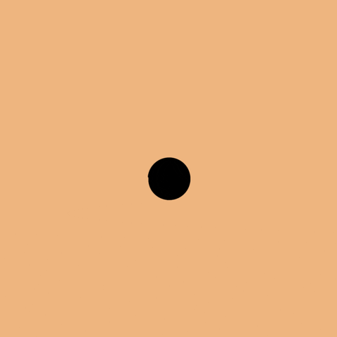 giphy (1).gif