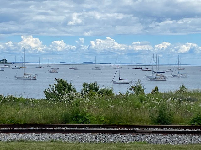 Sailboats float on a calm sea under a cloudy sky. Green grass and wildflowers line the shore, with railroad tracks in the foreground.