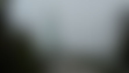 A tall, green bridge rises out of the fog. There is a two lane paved road with a car coming forward