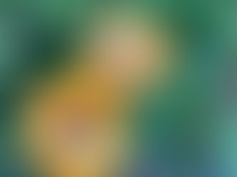 Two vibrant orange-yellow flowers with dew drops in a lush green garden. Gravel and leaves scattered on the ground.