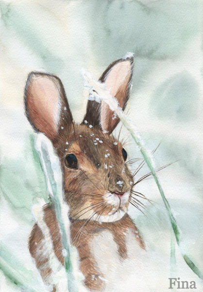 Schneehase Aquarell