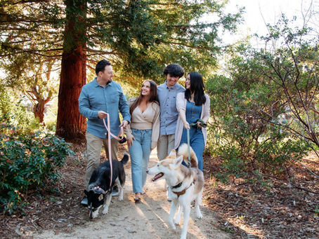 Family of four walking through park, talking to each other with two dogs on leashes.