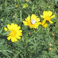 Three, The Hard Way.JPG