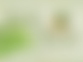 Herb of the Week:Coriander