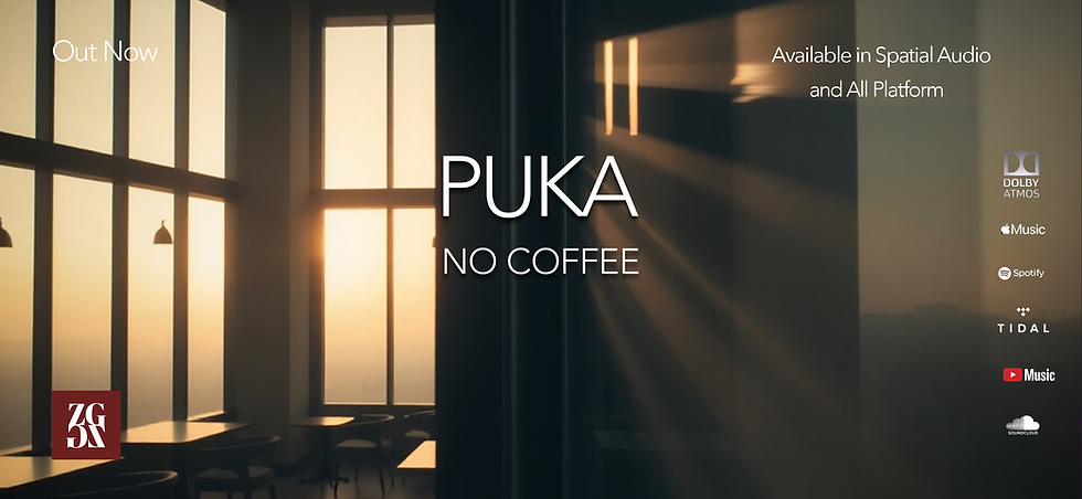 Site Capa Puka