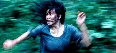 CRÍTICA: MARTYRS (2008)