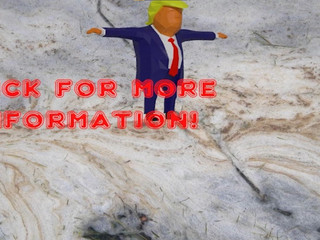 vid_donald_edited.jpg