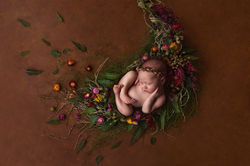 Willow 036
