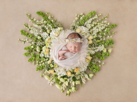 Ellie Rose's  Newborn Session
