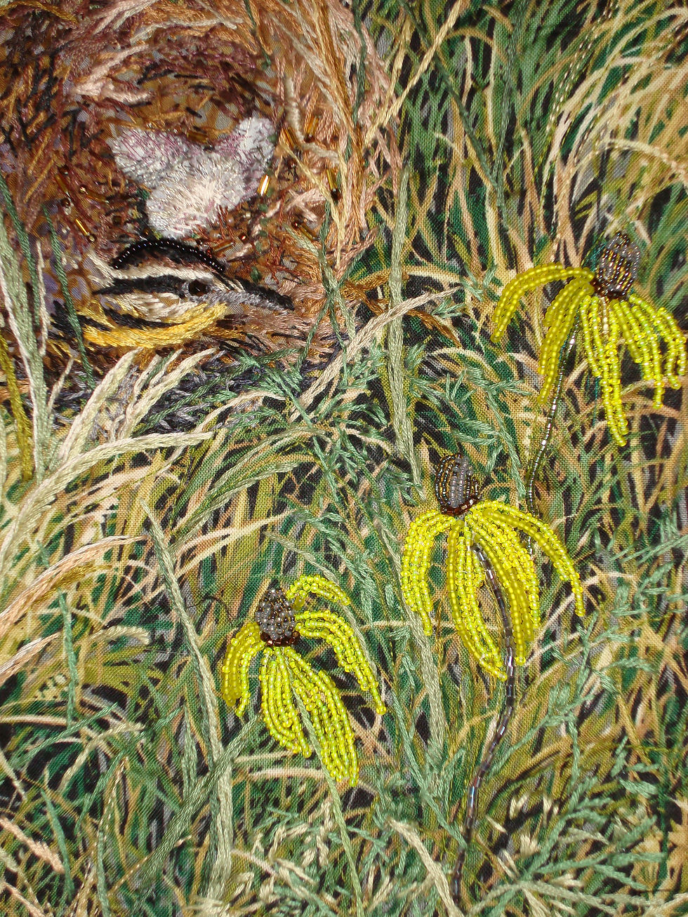 Eastern Meadowlark