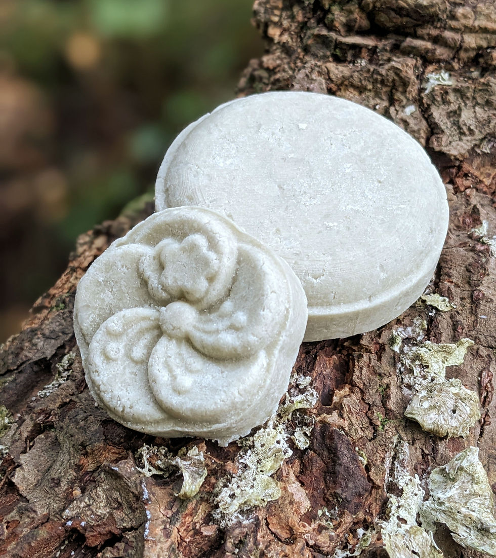 VEGAN Shampoo Bar Tea Tree and Rosemary