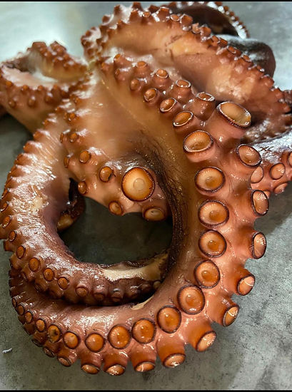 Vic_Octopus.jpeg